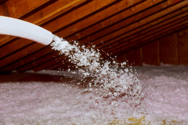 Best Attic Insulation Installation  in Hollister, MO