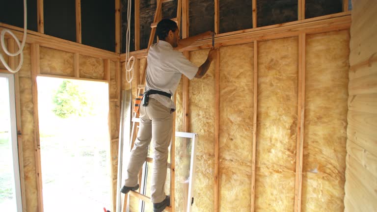 Best Weatherproofing Services  in Hollister, MO