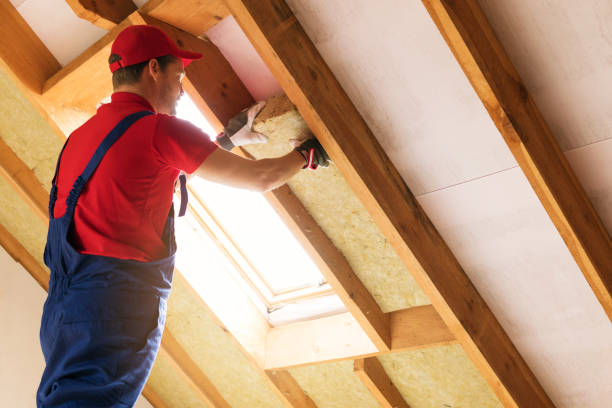 Trusted Hollister, MO Insulation Experts